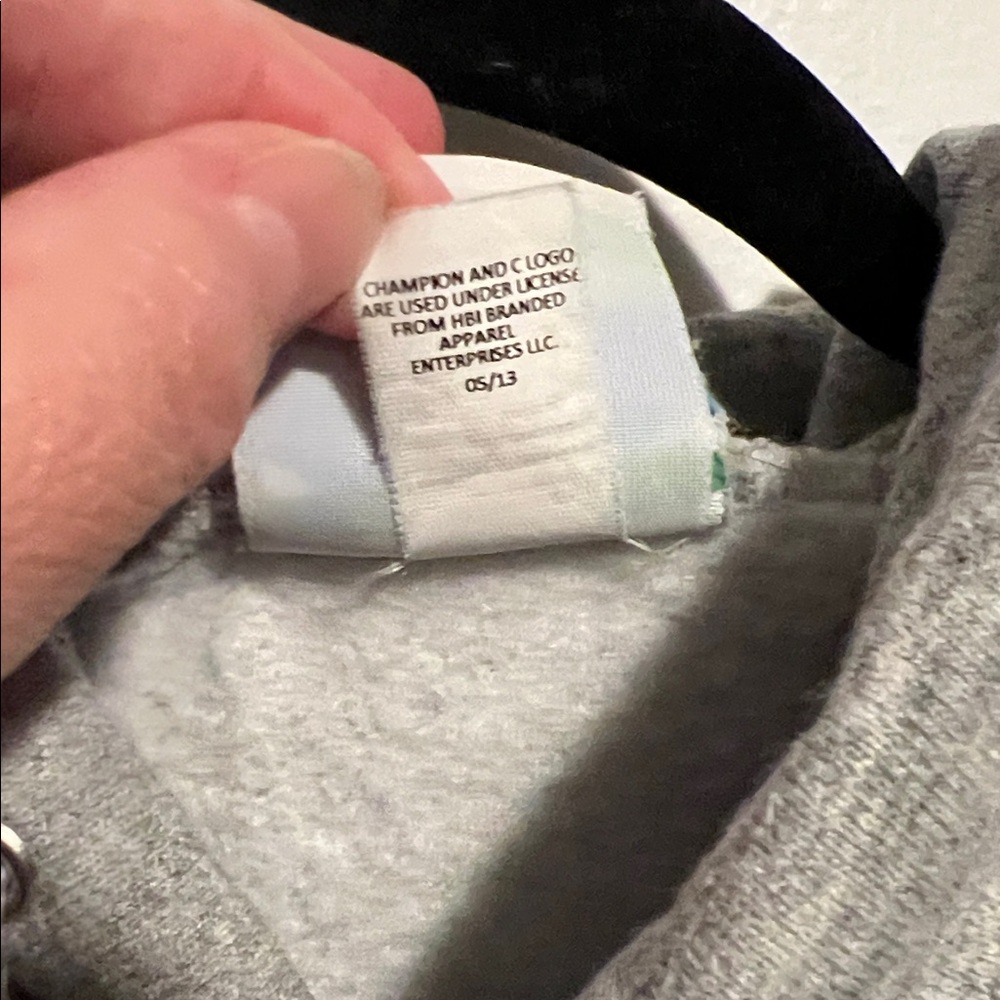 Champion Gray Washington Hoodie - Picture 4 of 6